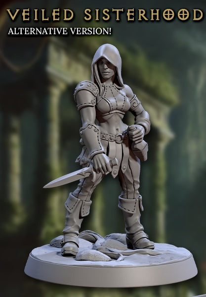 Veiled Sisterhood Rogues - Hooded (6 Variants Available) - Artisan Guild
