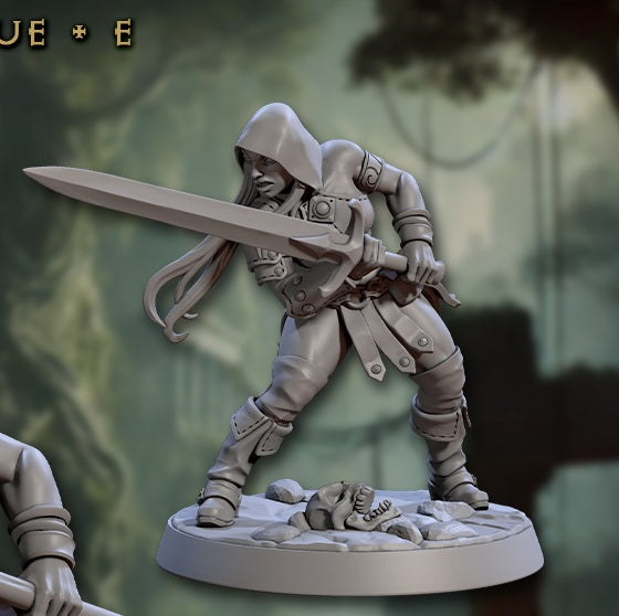 Veiled Sisterhood Rogues - Hooded (6 Variants Available) - Artisan Guild