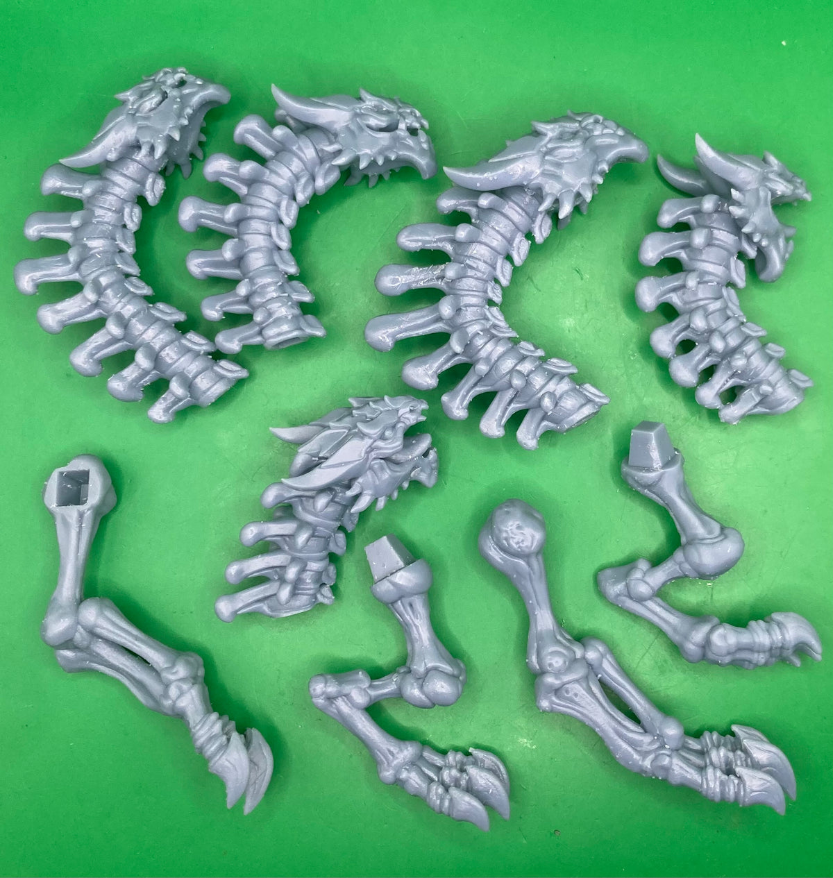 Skeleton Hydra - Brayan Nafarrate
