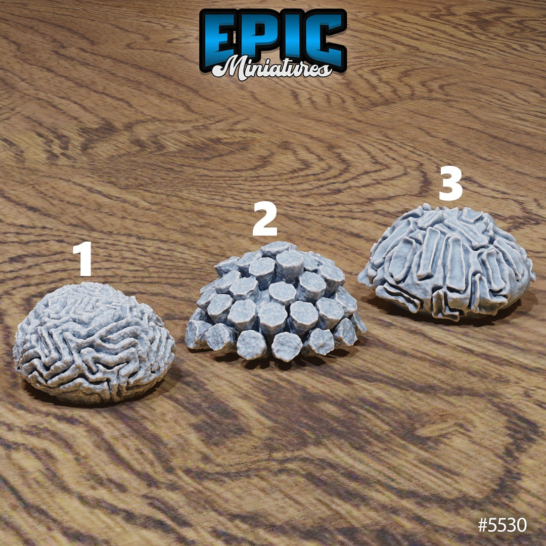 Underwater Scatter, Corals (8 Variants Available) - Epic Miniatures