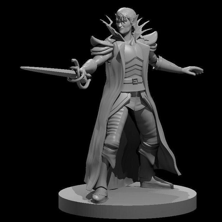 Elf Hexblade Warlock (2 Variants Available) - MZ4250