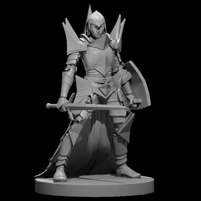 Human Paladins, Set 2 (5 Variants Available) - MZ4250