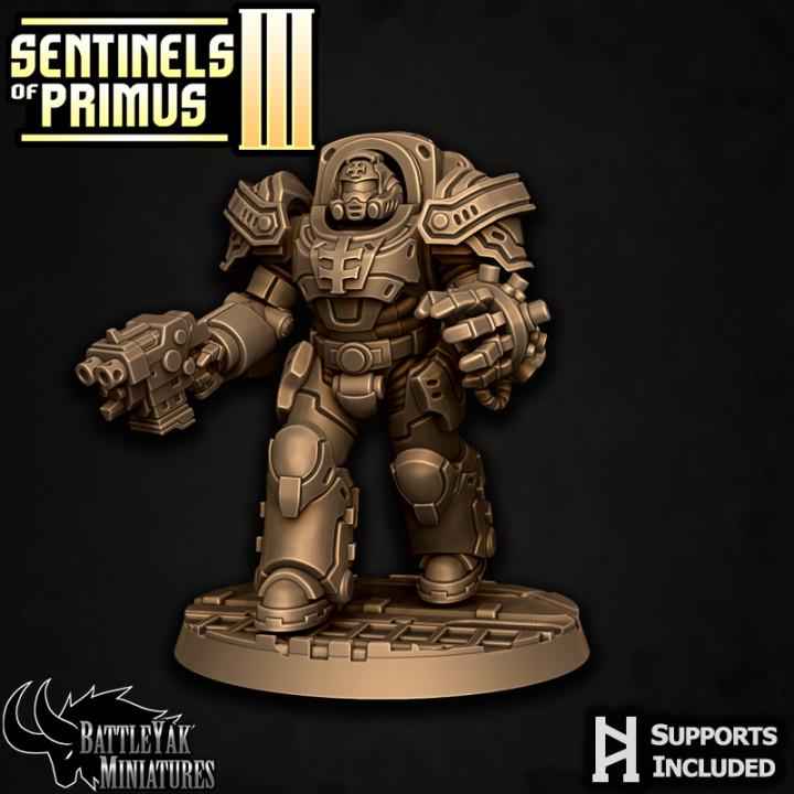 Sentinel Paladins of Primus, Ranged (6 Variants Available) - Battle Yak