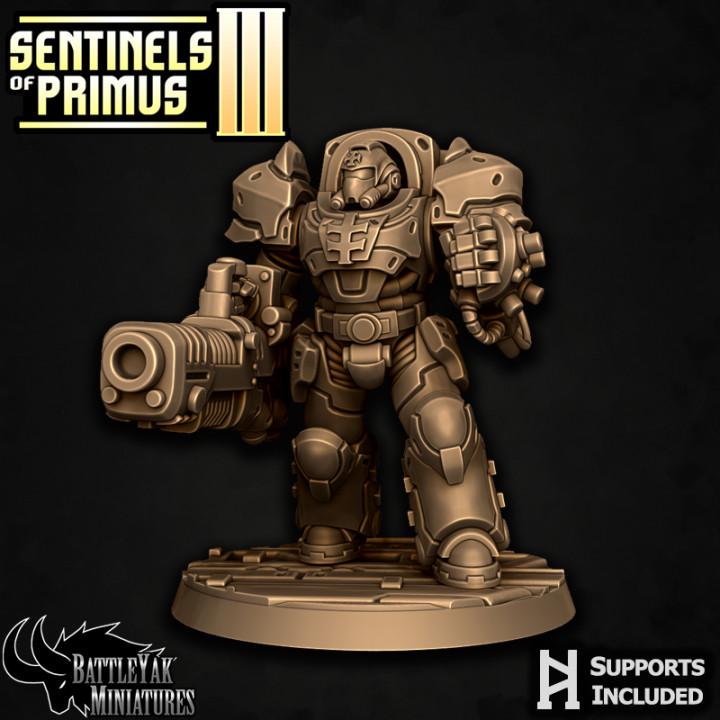 Sentinel Paladins of Primus, Ranged (6 Variants Available) - Battle Yak