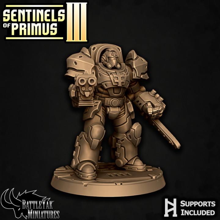 Sentinel Paladins of Primus, Ranged (6 Variants Available) - Battle Yak