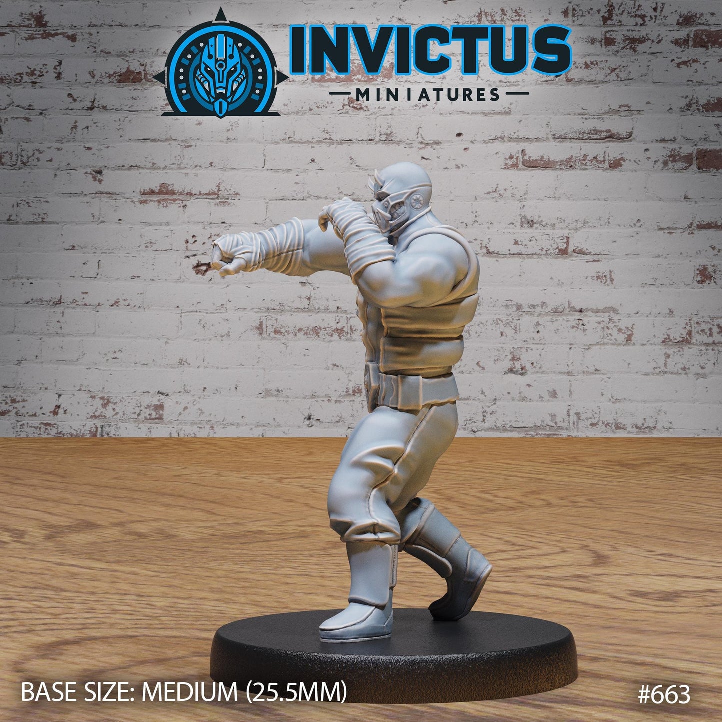 Ninja Clan, Set 1 (4 Variants Available) - Invictus Miniatures