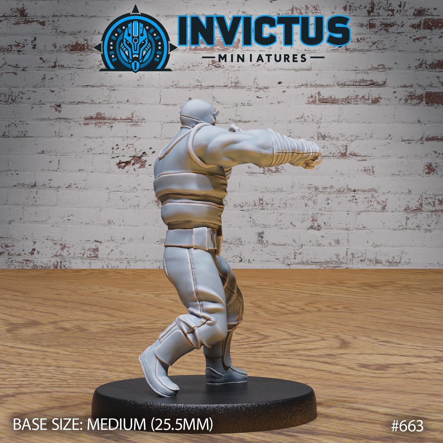 Ninja Clan, Set 1 (4 Variants Available) - Invictus Miniatures