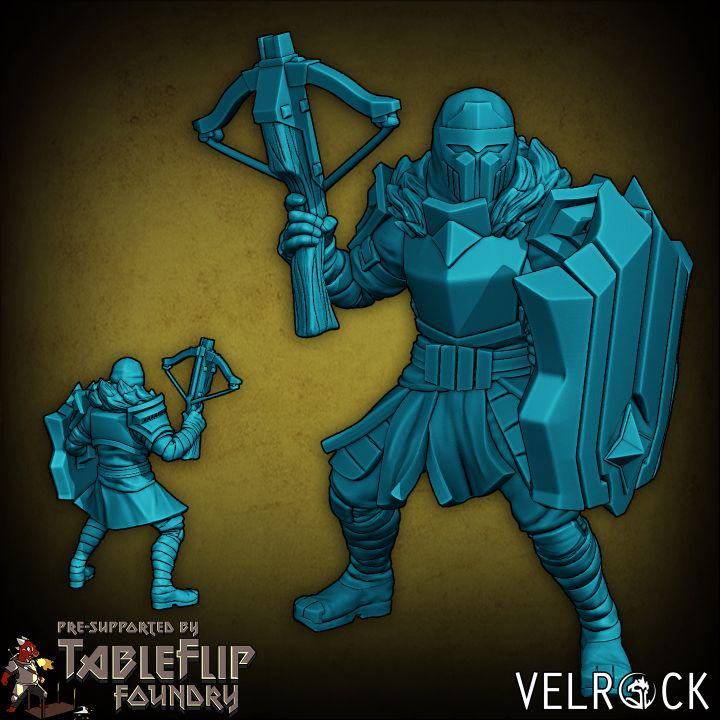 Noxian Soldiers (6 Variants Available) - Velrock