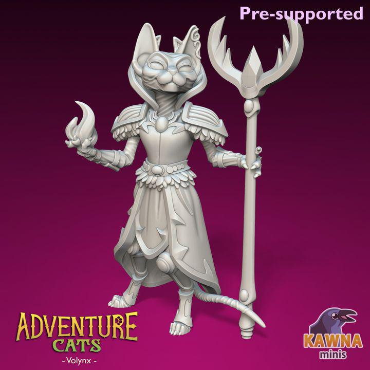 Volynx Wizard (2 Variants Available) - Kawna Minis