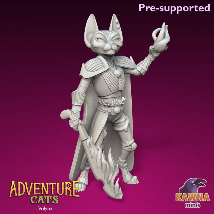 Volynx Wizard (2 Variants Available) - Kawna Minis