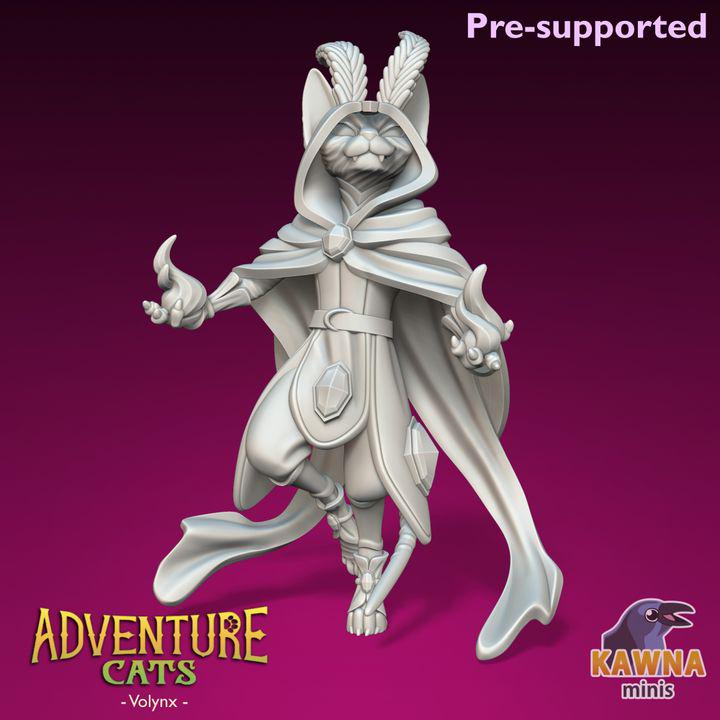 Volynx Sorcerer (2 Variants Available) - Kawna Minis