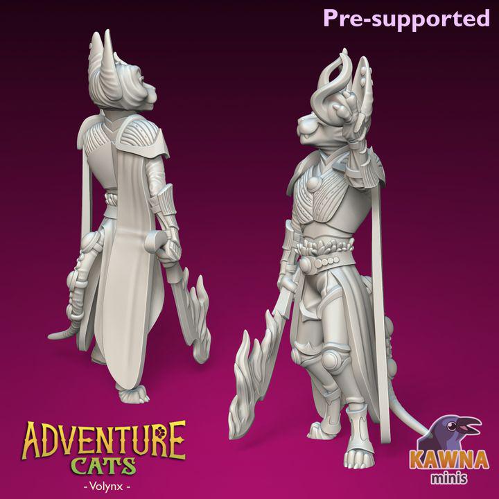 Volynx Wizard (2 Variants Available) - Kawna Minis