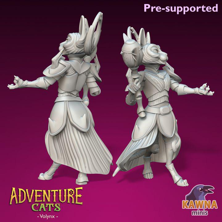 Volynx Cleric (2 Variants Available) - Kawna Minis