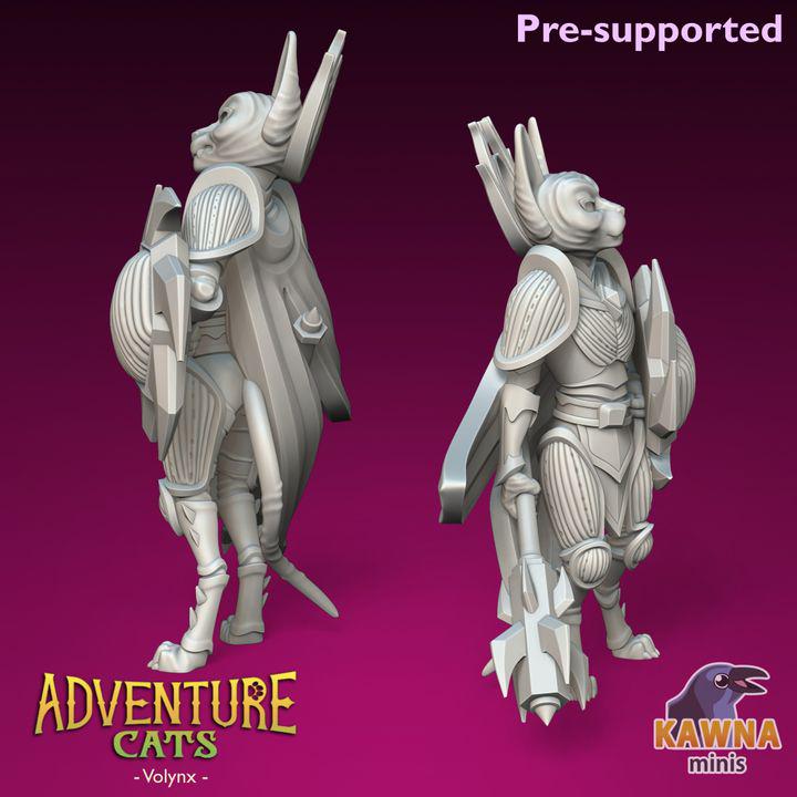 Volynx Cleric (2 Variants Available) - Kawna Minis