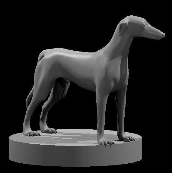 Greyhound - MZ4250