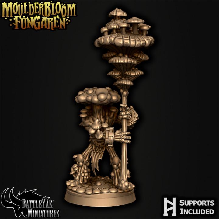 Moulderbloom Fungaren, Sporrior Pack (6 Variants Available) - Battle Yak