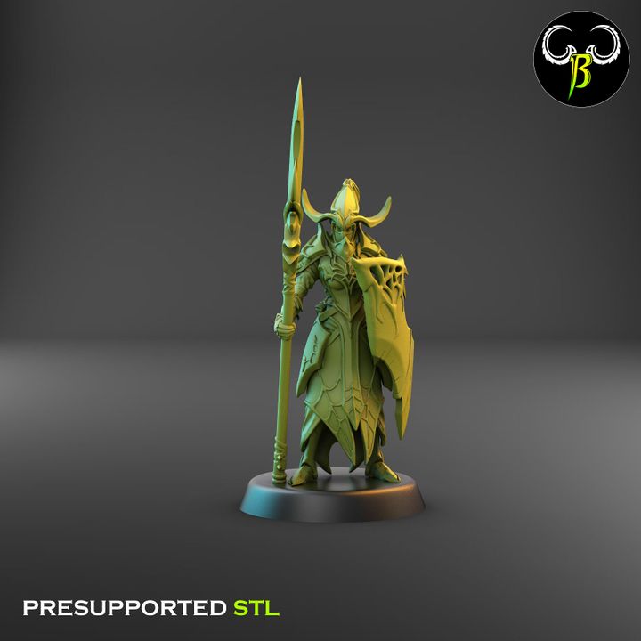 Cultists of the Web - Melee, Dark Elf Lance Squad 1 (4 Variants Available) - Clay Beast Creations