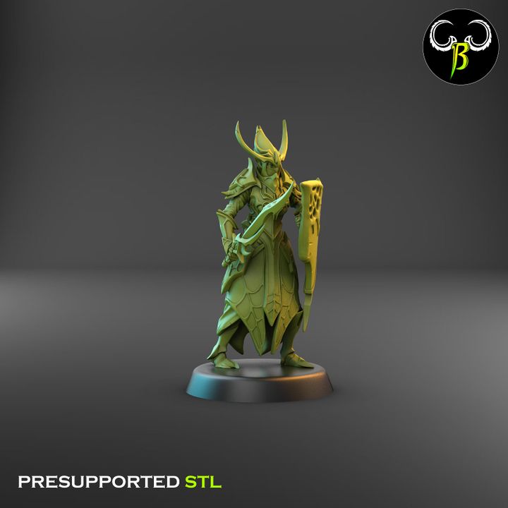 Cultists of the Web - Melee, Dark Elf Lance Squad 2 (4 Variants Available) - Clay Beast Creations (Copy)