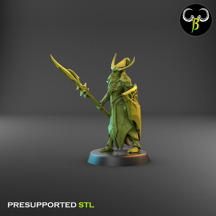 Cultists of the Web - Melee, Dark Elf Lance Squad 2 (4 Variants Available) - Clay Beast Creations (Copy)