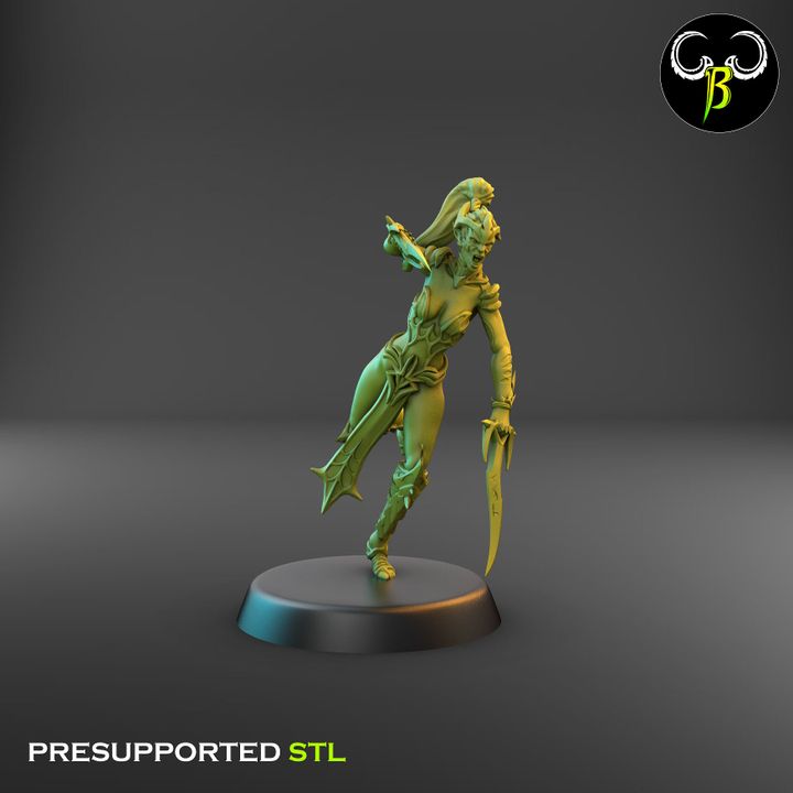 Spider Cultists, Dark Elf Double Blade Squad (9 Variants Available) - Clay Beast Creations