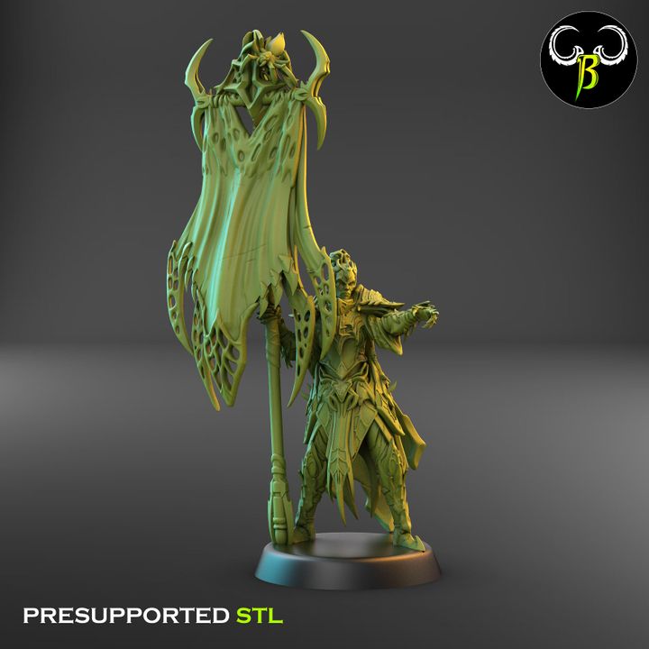 Venom Lords, Dark Elf Leaders (4 Variants Available) - Clay Beast Creations