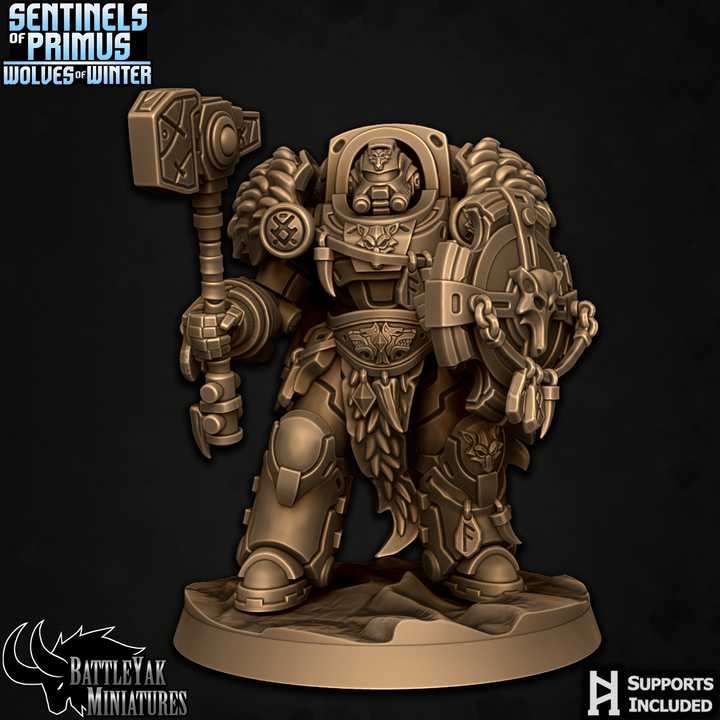 Sentinels of Primus, Winter Wolf Paladins - Set 1 (6 Variants Available) - Battle Yak