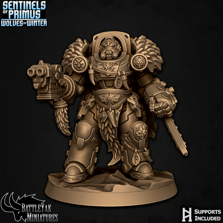 Sentinels of Primus, Winter Wolf Paladins - Set 2 (6 Variants Available) - Battle Yak