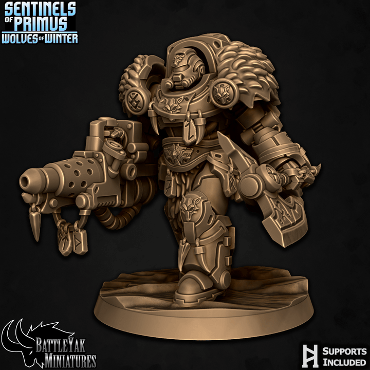 Sentinels of Primus, Winter Wolf Paladins - Set 1 (6 Variants Available) - Battle Yak
