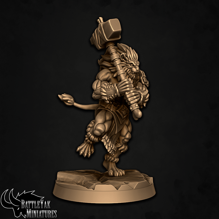 Rakari Prideclaws, Lion Warriors - Set 2 (6 Variants Available) - Battle Yak