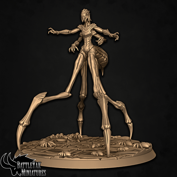 Arachlayn Skeinweaver (2 Variants Available) - Battle Yak
