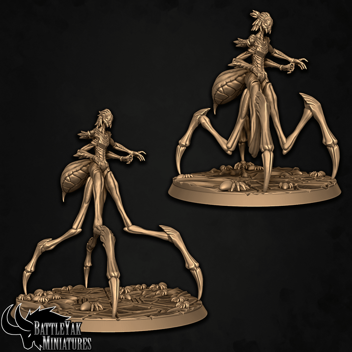 Arachlayn Skeinweaver (2 Variants Available) - Battle Yak