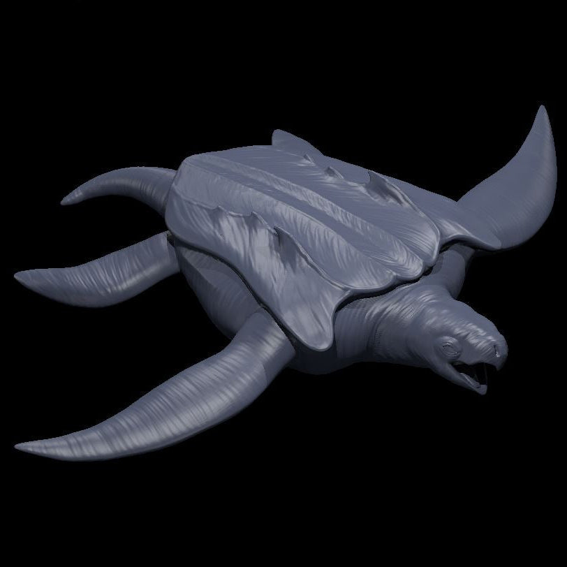 Archelon - MZ4250