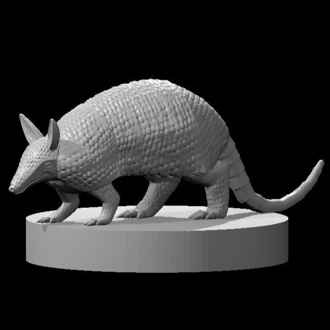 Armadillo - MZ4250