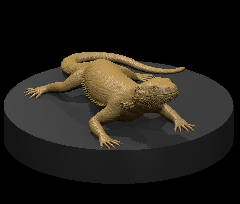 Lizards (2 Variants Available) - MZ4250