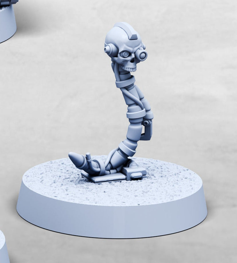 Bio-Anarchist and Skull Companions (4 Variants Available) - Print Minis