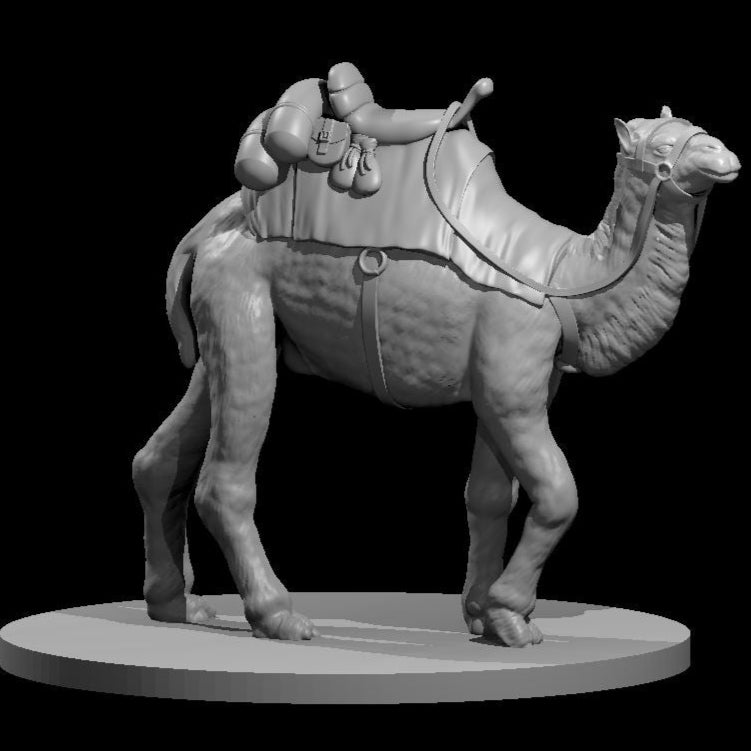 Camels (3 Variants Available) - MZ4250