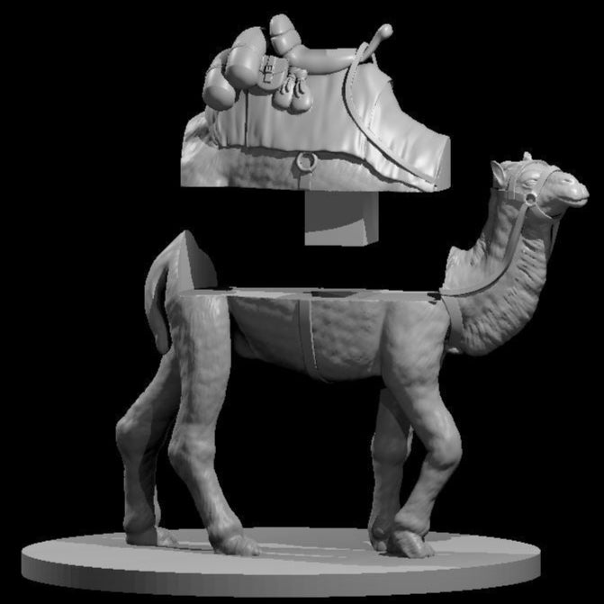 Camels (3 Variants Available) - MZ4250