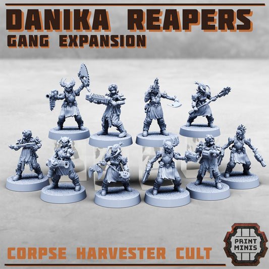 Danika Reapers, Set 2 (5 Variants Available) - Print Minis