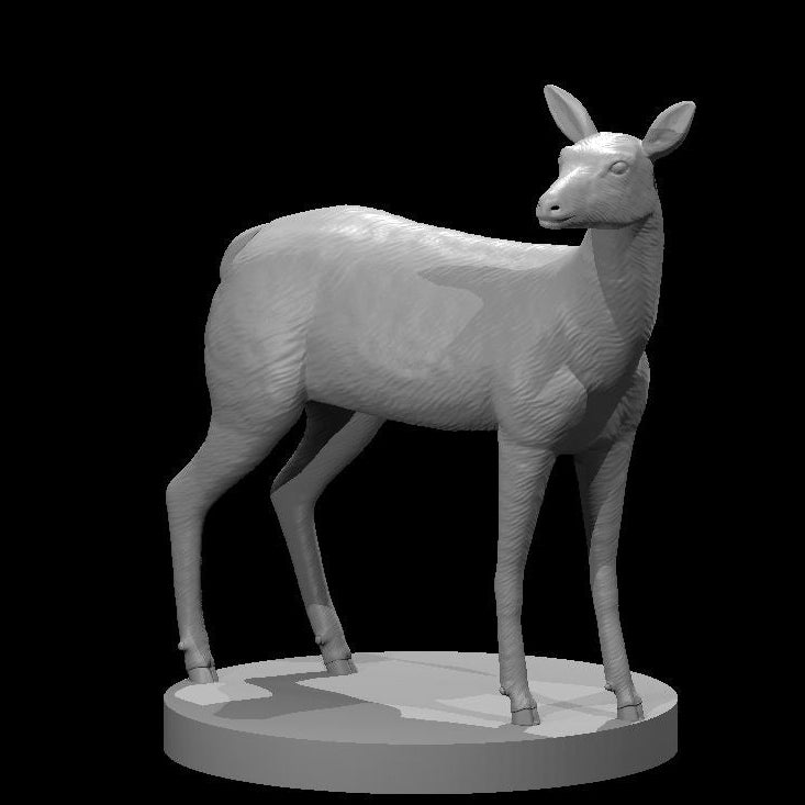 Deer (2 Variants Available) - MZ4250