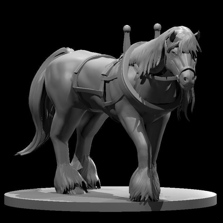 Horses - Riding, Warhorse and Draft Horse (5 Variants) - MZ4250