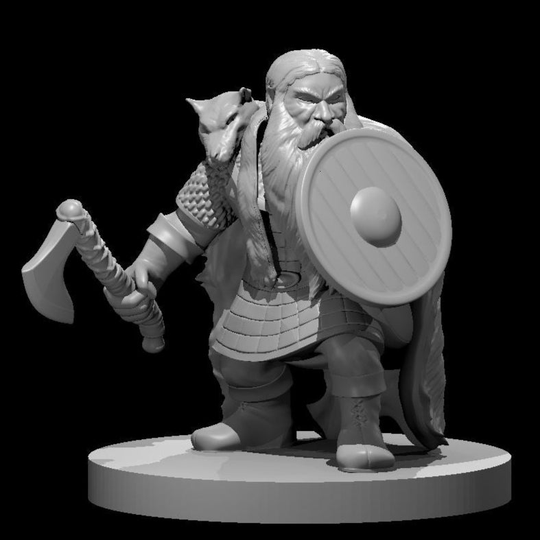 Dwarf Fighter, Set 2 (5 Variants Available) - MZ4250