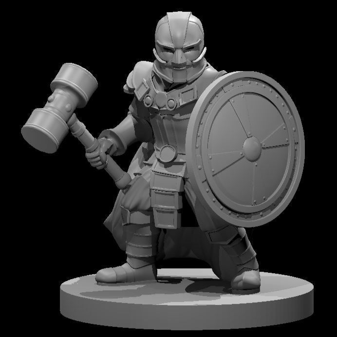 Dwarf Fighter, Set 2 (5 Variants Available) - MZ4250