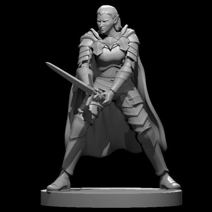 Elf Paladin (9 Variants Available) - MZ4250