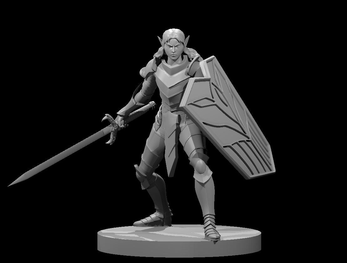 Elf Paladin (10 Variants Available) - MZ4250