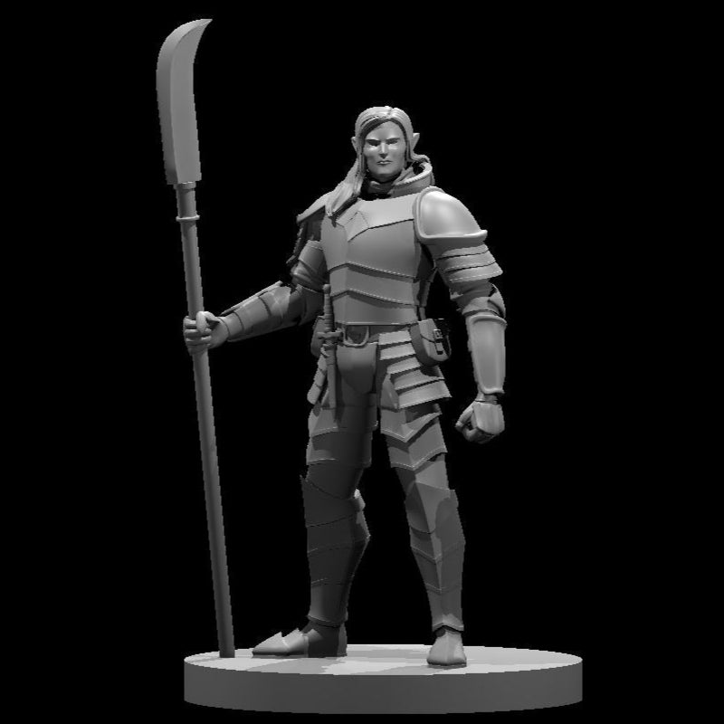 Elven Fighter (6 Variants Available) - MZ4250