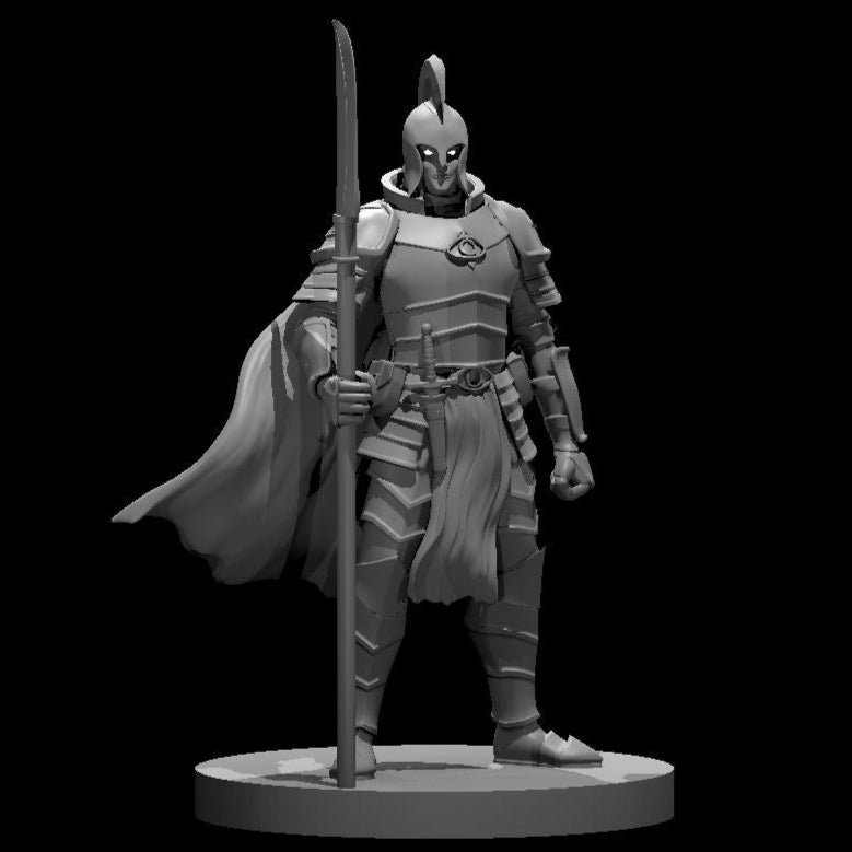 Elf Paladin (9 Variants Available) - MZ4250
