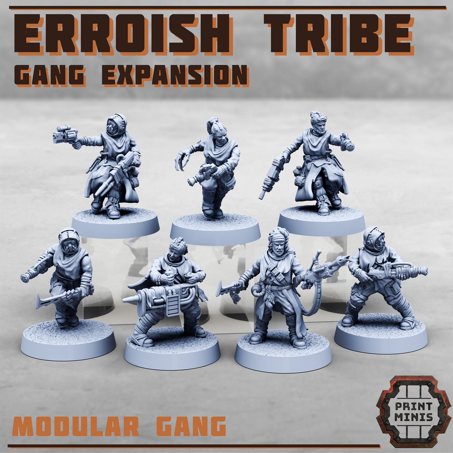 Erroish War Party, Set 3 (7 Variants Available) - Print Minis