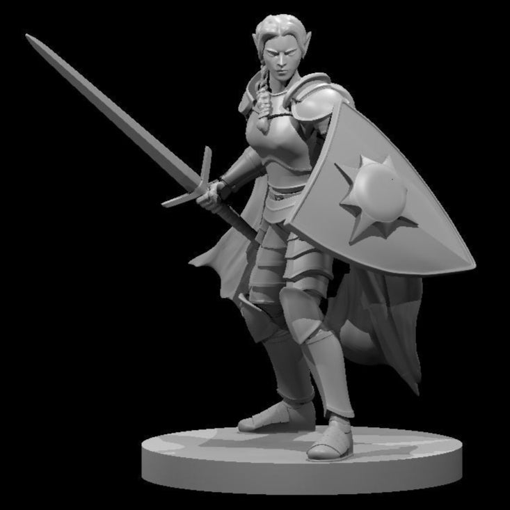 Elf Paladin (9 Variants Available) - MZ4250