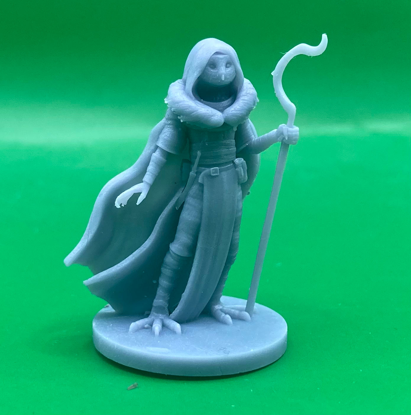 Owlfolk Male Druid - MZ4250