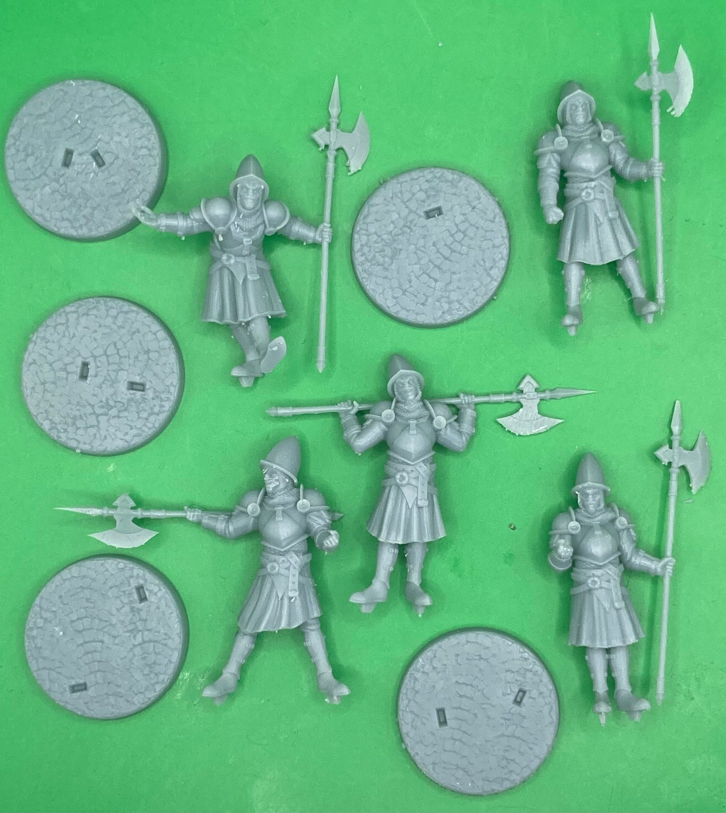 City Guards (5 Variants Available) - Dragon Trapper's Lodge